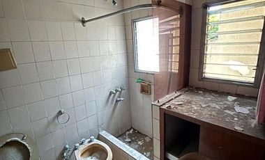 Casa a refaccionar en Centro de San Martin