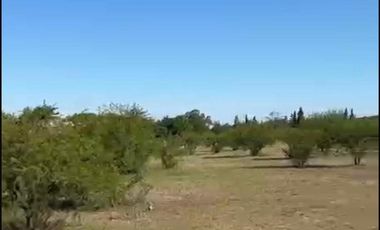 VENTA TERRENO 6009m LA GRANJA LOS MOLLES CORDOBA