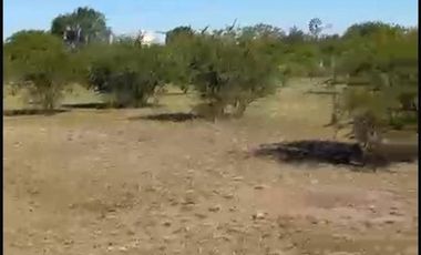 VENTA TERRENO 6009m LA GRANJA LOS MOLLES CORDOBA