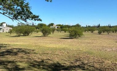 VENTA TERRENO 6009m LA GRANJA LOS MOLLES CORDOBA