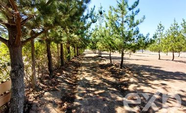 Parcela en Venta en EL VALLE LT D- 113