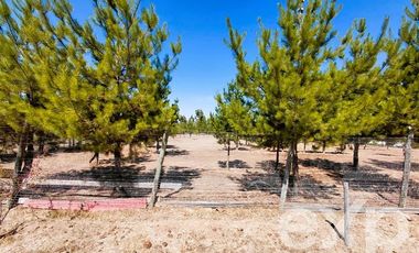 Parcela en Venta en EL VALLE LT D- 113