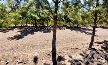 Parcela en Venta en EL VALLE LT D- 113