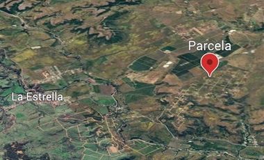 Parcela en Venta en EL VALLE LT D- 113