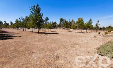 Parcela en Venta en EL VALLE LT D- 113