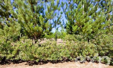 Parcela en Venta en EL VALLE LT D- 113