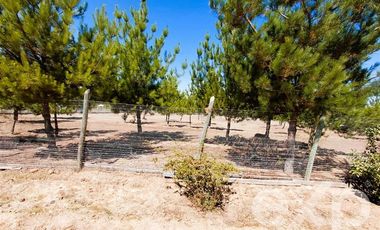 Parcela en Venta en EL VALLE LT D- 113