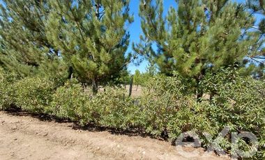 Parcela en Venta en EL VALLE LT D- 113