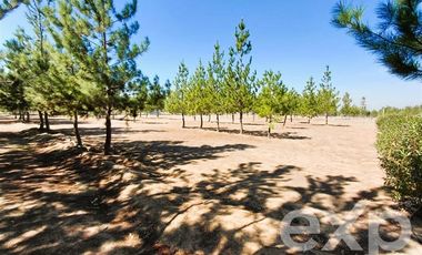 Parcela en Venta en EL VALLE LT D- 113