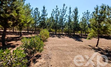 Parcela en Venta en EL VALLE LT D- 113