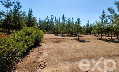 Parcela en Venta en EL VALLE LT D- 113