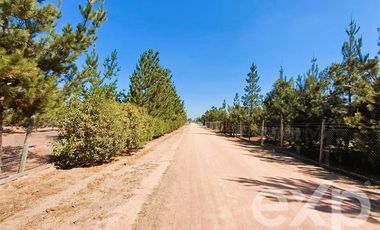 Parcela en Venta en EL VALLE LT D- 113