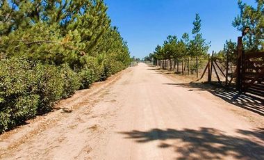 Parcela en Venta en EL VALLE LT D- 113