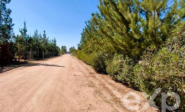 Parcela en Venta en EL VALLE LT D- 113