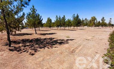 Parcela en Venta en EL VALLE LT D- 113