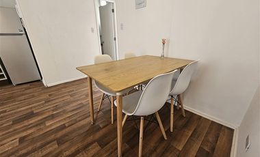 Departamento en Arriendo en Camino Lo Gallardo