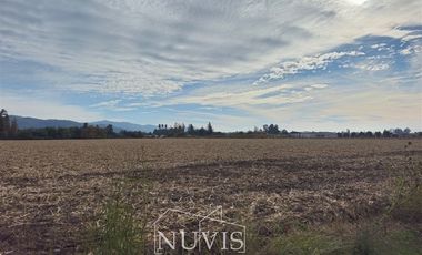 Parcela en Venta en Parcelación San José del Carmen (Sector El Huique / Lihueimo)