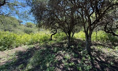 VENTA CASA 2 DORM CON PILETA LA GRANJA TERRENO 1HA