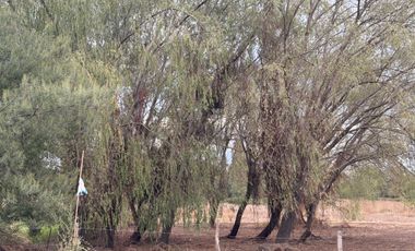 SE VENDE PARCELA CAMINO A PINTO A 300 METROS DE CARRETERA