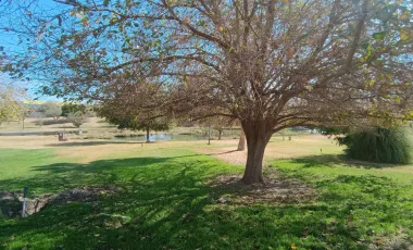 Terreno en Venta en Villas del Renacimiento, Torreón, Coahuila de Zaragoza