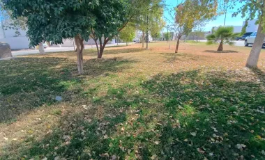 Terreno en Venta en Villas del Renacimiento, Torreón, Coahuila de Zaragoza