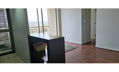 Arriendo Departamento Barrio Parque Gomez Carreño