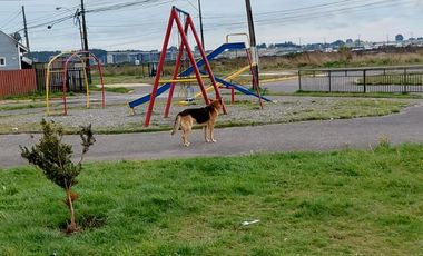 ARRIENDO CASA 3HAB 1BA PUERTO MONTT