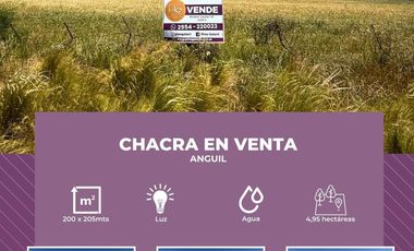 Chacra en Anguil