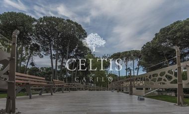 Departamento - Carilo