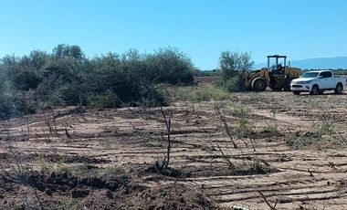 Campo en  VENTA