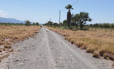 Campo en  VENTA
