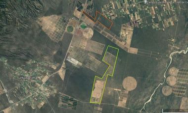 Campo en  VENTA