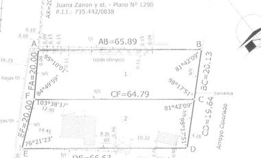MIRLO Y PALOLANZA EX CALLE 124 RUTA 1