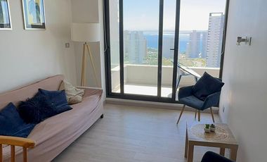 ARRIENDO AMOBLADO AÑO CORRIDO 1D 1B