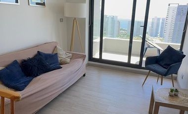 ARRIENDO AMOBLADO AÑO CORRIDO 1D 1B