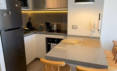 ARRIENDO AMOBLADO AÑO CORRIDO 1D 1B