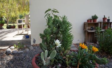 GRAN PARCELA 6000 m2 PUEBLO ZUÑIGA, SAN VICENTE