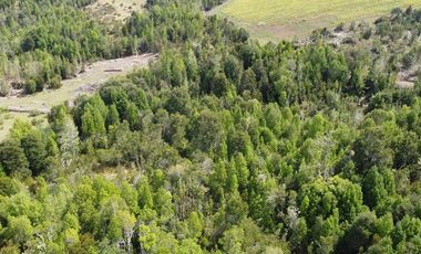 Paz y tranquilidad en Los Muermos