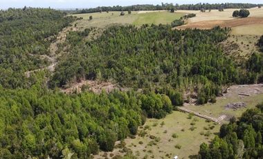Paz y tranquilidad en Los Muermos