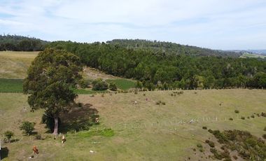 Paz y tranquilidad en Los Muermos