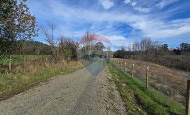 Parcela de agrado en Gorbea: Naturaleza y confort.