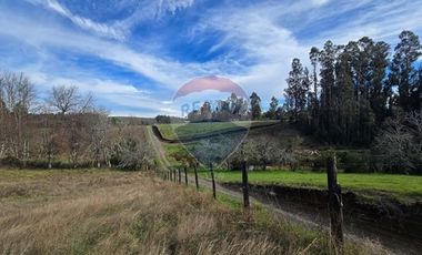 Parcela de agrado en Gorbea: Naturaleza y confort.