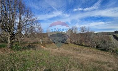 Parcela de agrado en Gorbea: Naturaleza y confort.