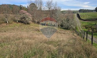 Parcela de agrado en Gorbea: Naturaleza y confort.
