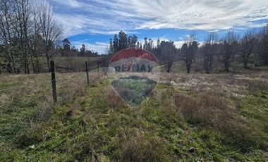 Parcela de agrado en Gorbea: Naturaleza y confort.