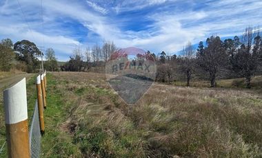 Parcela de agrado en Gorbea: Naturaleza y confort.
