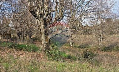 Parcela de agrado en Gorbea: Naturaleza y confort.
