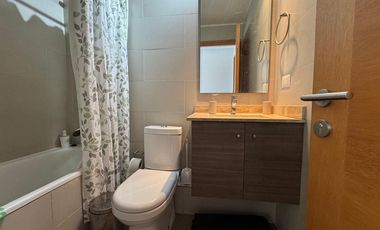 se arrienda depto. por días en Pucón