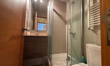 se arrienda depto. por días en Pucón