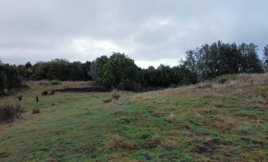 Venta de Parcelas en Huicha - Chiloé